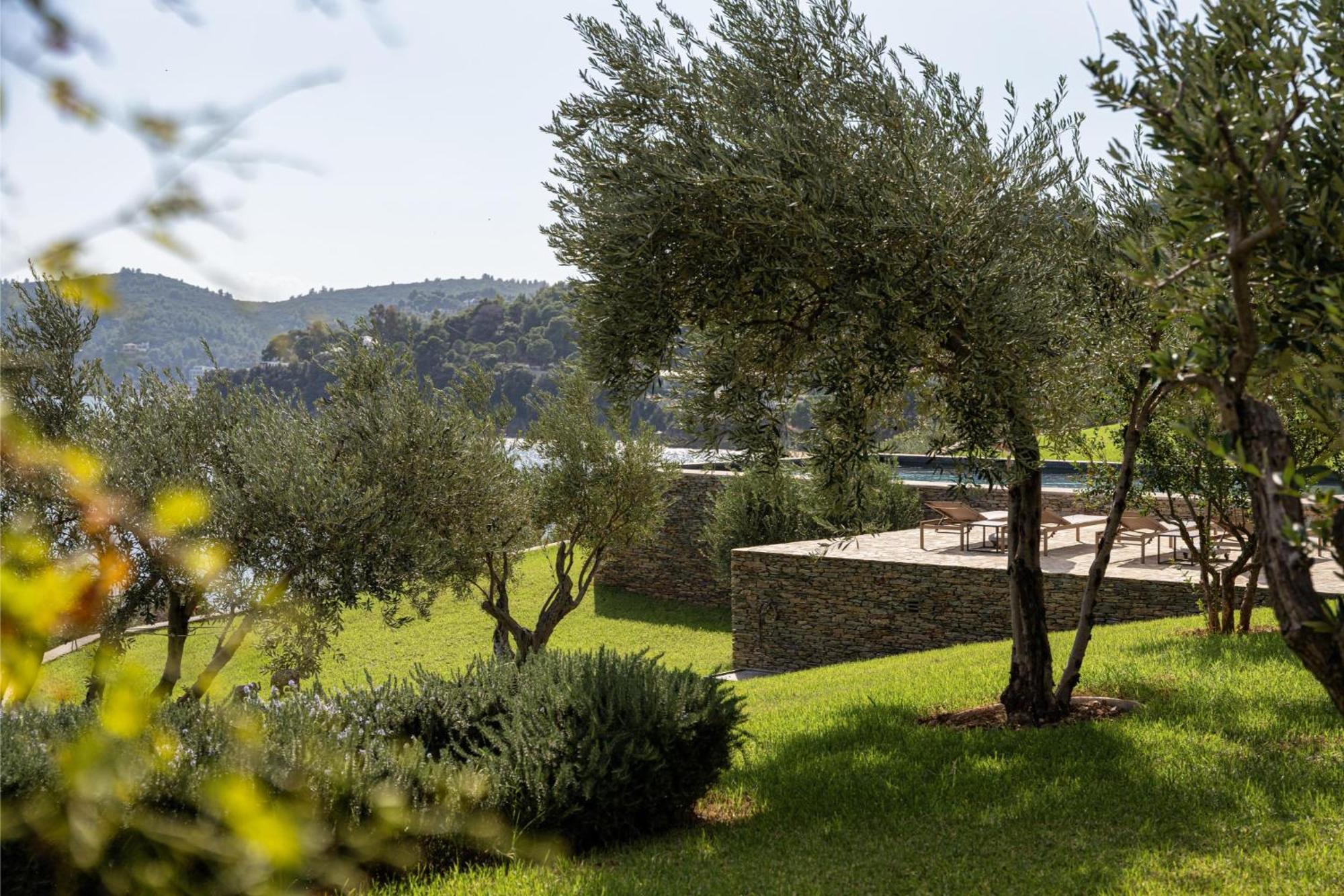 Pelagoon Skiathos Achladies  部屋 写真